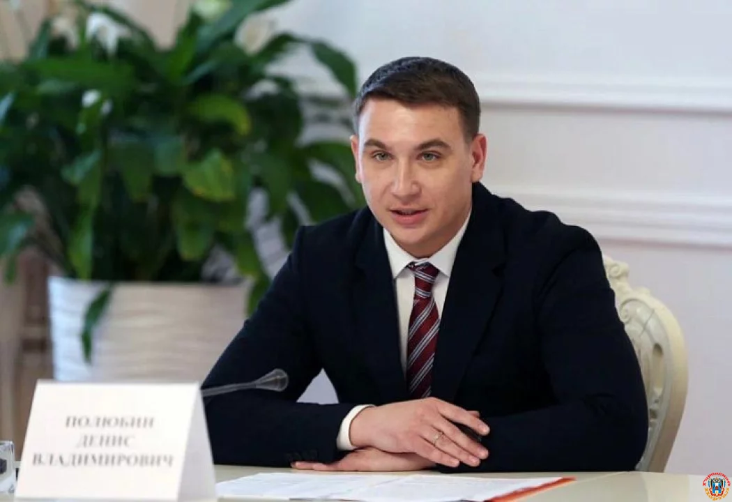 Департамент экономики Ростова возглавил бывший министр экономразвития Ставрополья вместо экс-фотомодели