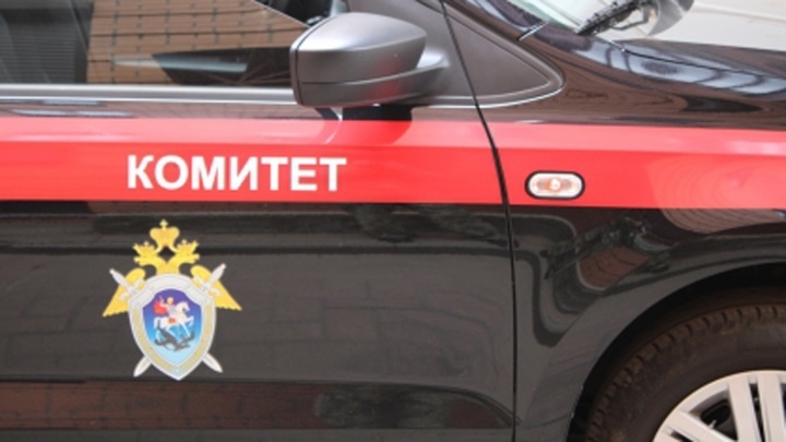 В Ярославской области упавшее дерево убило девочку