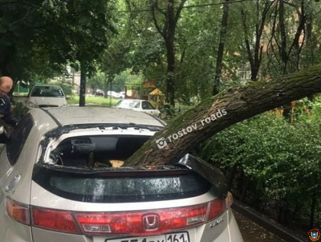 Стихия &ndash; разбушевалась: огромная ветка упала на автомобиль в Ростове