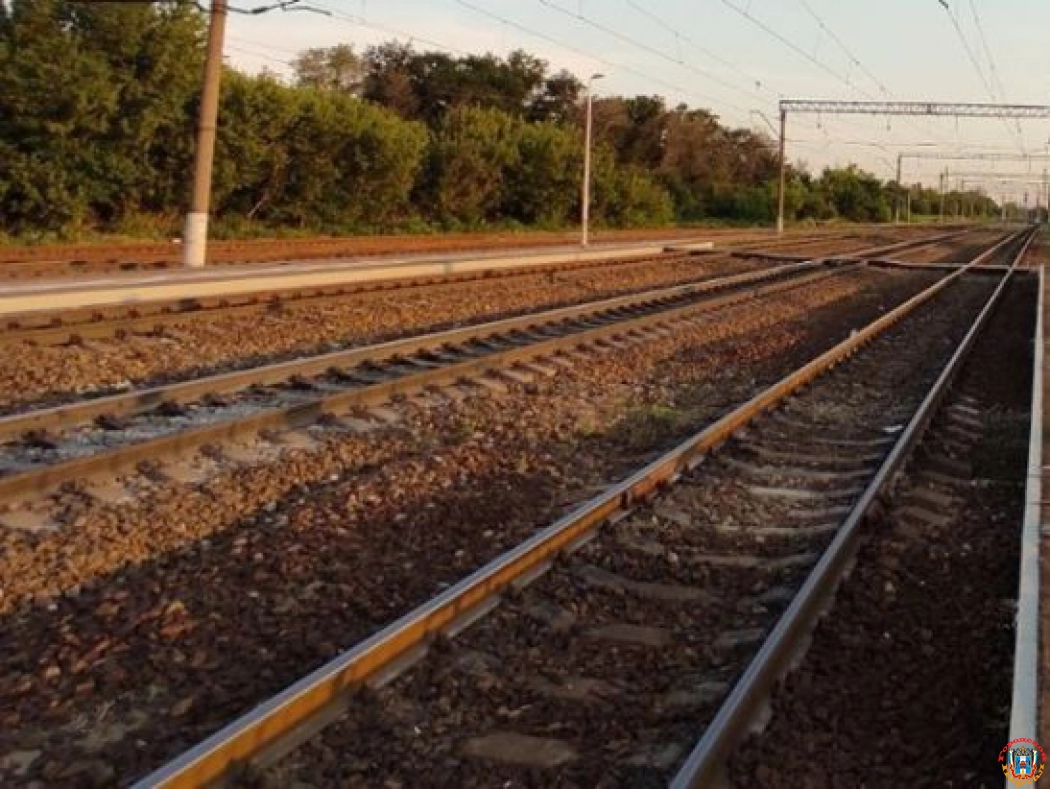 В Ростовской области 39-летняя женщина попала под поезд