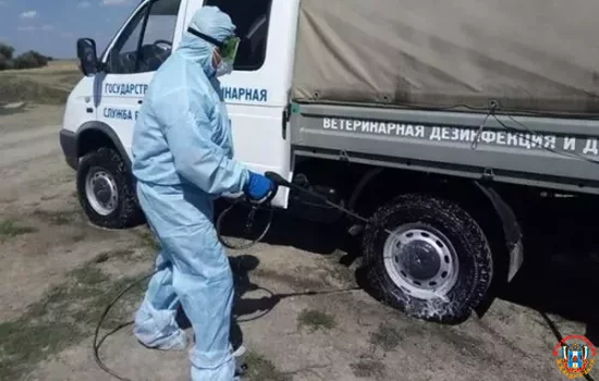 Карантин из-за бешенства барсука отменили спустя 11 месяцев