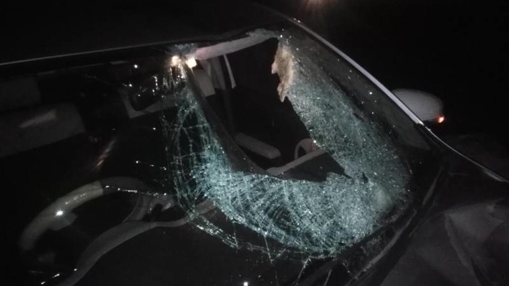 Трагедия на дороге: ГИБДД Приморья обратилась к жителям края