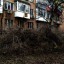 «Секретное» распоряжение: в Ростове под видом благоустройства снова спилили деревья 0