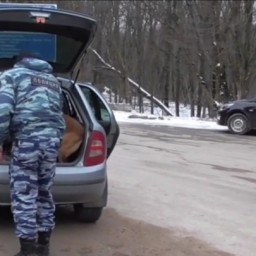 Агента украинской СВР задержали в Крыму