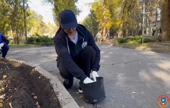 Сюрприз из тысяч тюльпанов готовят в Ростовском зоопарке