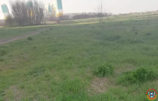 Сжечь зеленое поле вместе с дикими животными решили в Суворовском