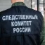 Труп младенца нашли в мусорном баке в Суворовском