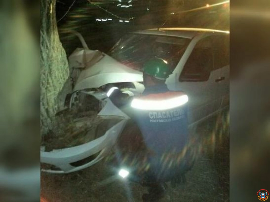 В Ростовской области от столкновения с деревом пострадал пассажир «ВАЗа»