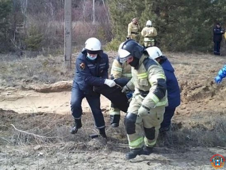 В Ростовской области водитель врезался на автомобиле в дерево