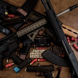 В Ростовской области утвердили размер вознаграждений за сдачу незаконного оружия