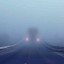 Автомобилистов предупредили о сильном тумане на дорогах Ростовской области