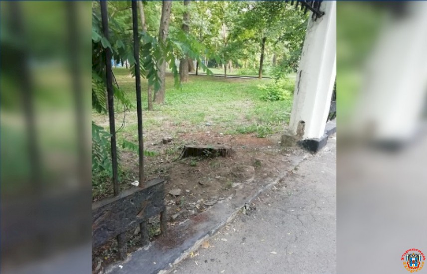 В парке Революции в Ростове вандалы разобрали часть металлического забора