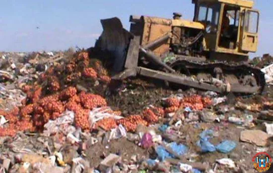 В Таганроге уничтожили 20 тонн свежего репчатого лука из Польши