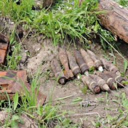 Склад боеприпасов времен ВОВ обнаружили в Ростовской области