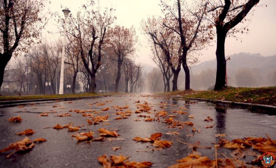 В первые выходные октября в Ростове ожидается прохладная погода