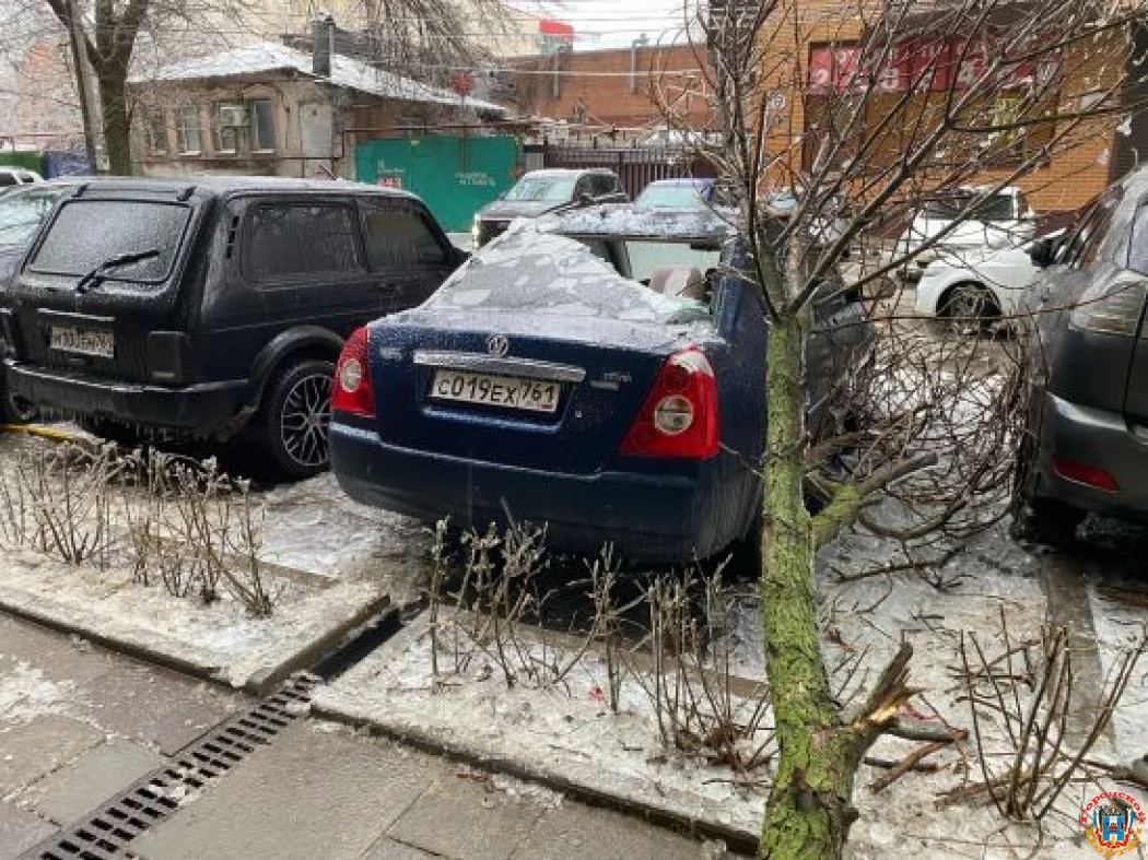 В Ростове во время непогоды упали почти 700 деревьев