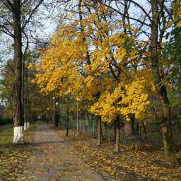 Гороскоп на неделю: пришло время рискнуть Тельцам и отправиться на шопинг Скорпионам