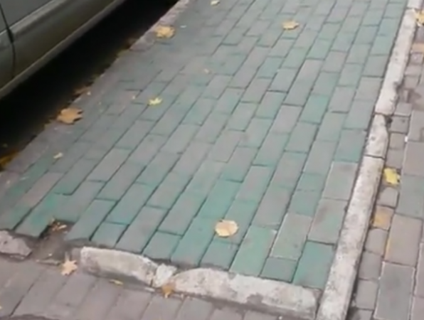 Газон из покрашенной в зеленую краску плитки и "рекламное" дерево в центре Ростова довели до бешенства горожан