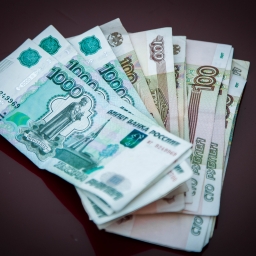 Полиция спасла нервы и кошелек ростовчанина, обманутого мошенником-моховедом