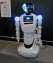 В Ростове-на-Дону пройдет очень большая выставка роботов со всего мира – «Город роботов» 1