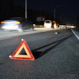 Ловившего попутку на трассе мужчину в камуфляже сбил автомобиль в Ростовской области