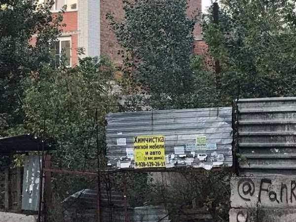 Амброзия, бездомные собаки и бомжи не дают спокойно жить женщине в Ростове