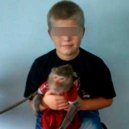 Заночевать у друга тайком от родителей решил 13-летний школьник в Ростовской области