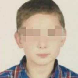 Бритый налысо 13-летний мальчик пропал в Ростовской области